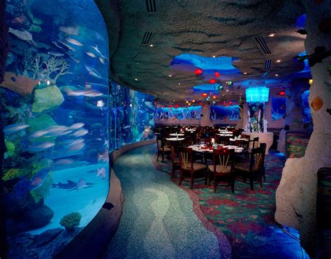 The aquarium restaurant - RumFish Grill provides diners a truly immersive experience where visitors can eat, drink, shop and explore. The restaurant's main attraction is a 33,500 gallon aquarium, featured on the hit show "Tanked." Dine on cutting edge seafood, enjoy nightly live entertainment with indoor and outdoor bars, and shop the 2,200 sq foot retail store. Also offering "Swim with …